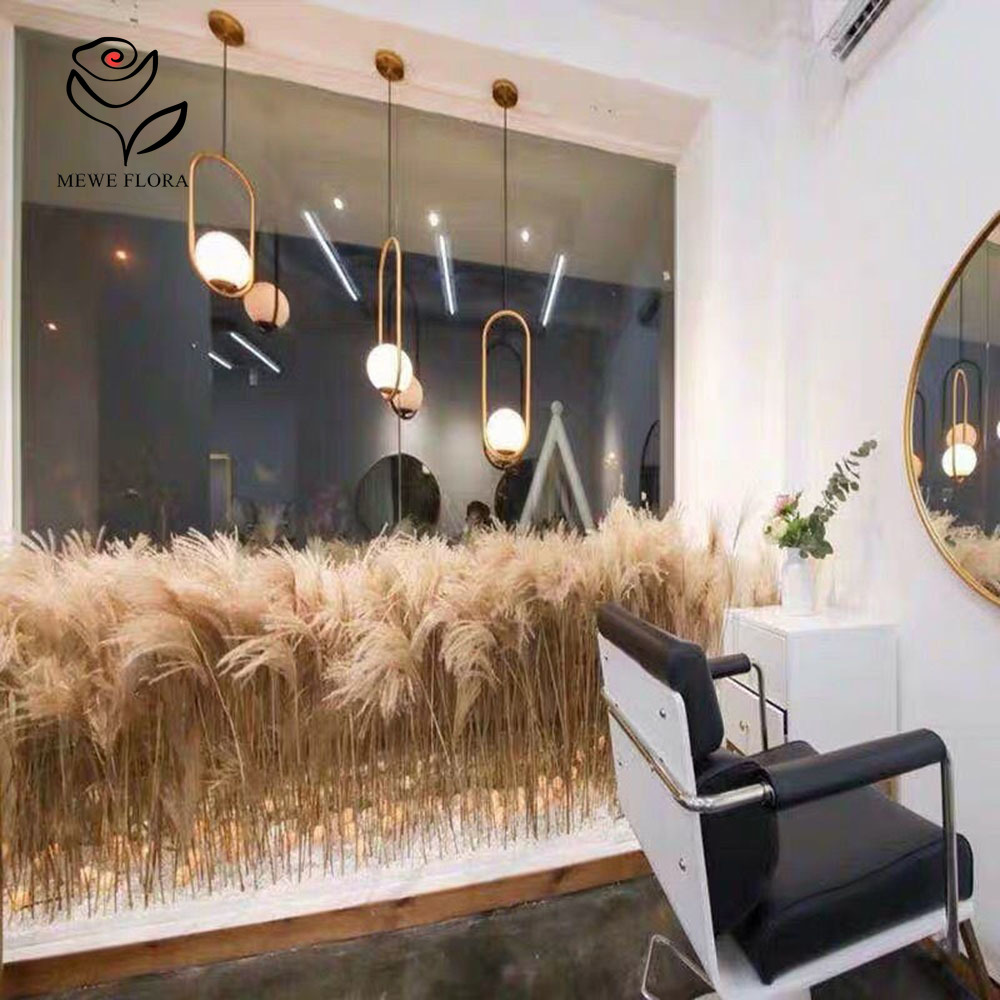 200PCS Natural Dried Fluffy Re - Luxury Lifestyle Items review and price