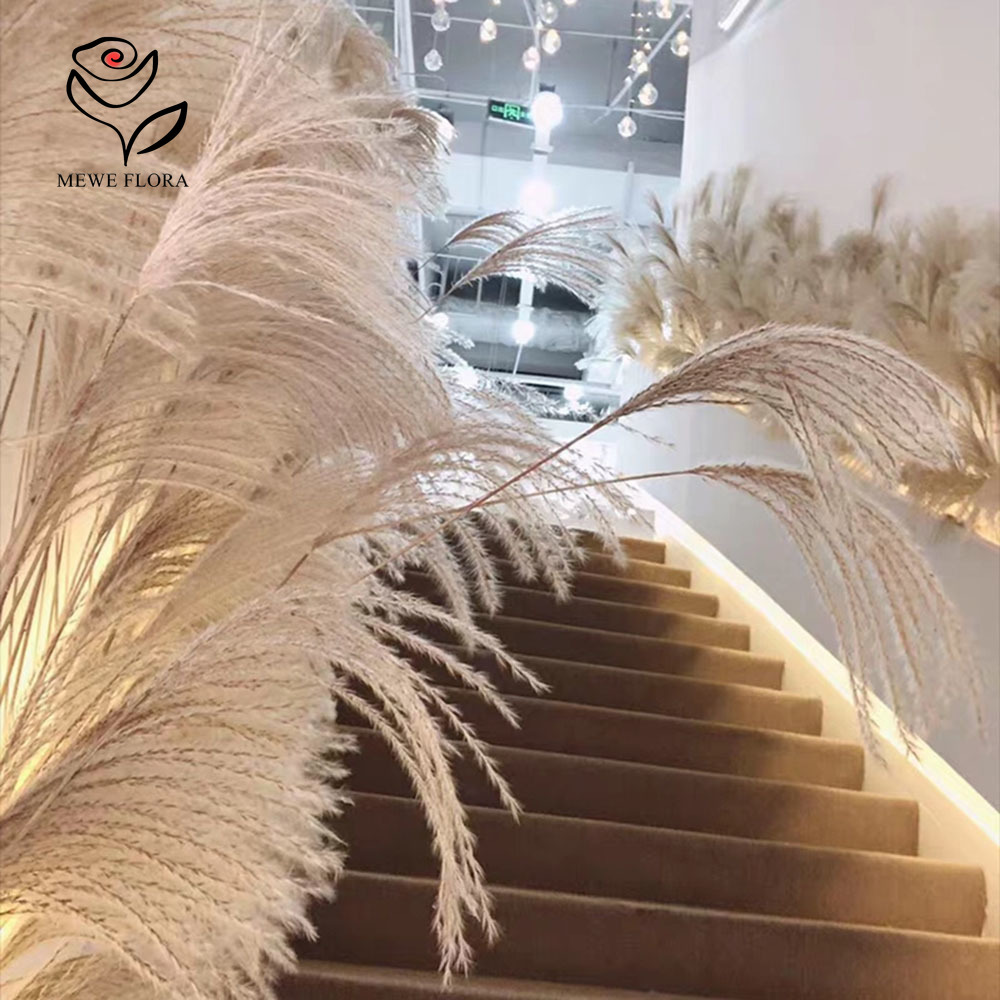 200PCS Natural Dried Fluffy Re - Luxury Lifestyle Items review and price