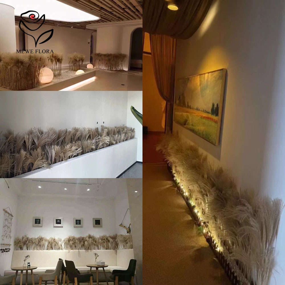 200PCS Natural Dried Fluffy Re - Luxury Lifestyle Items review and price
