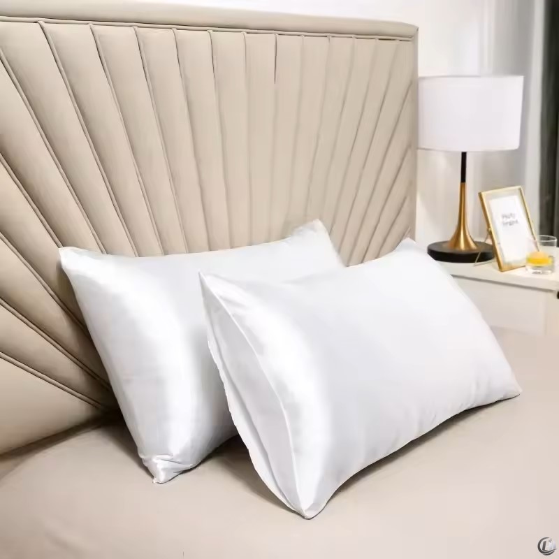 100% Natural Mulberry Silk Pil - Silk Pillowcase Set review and price