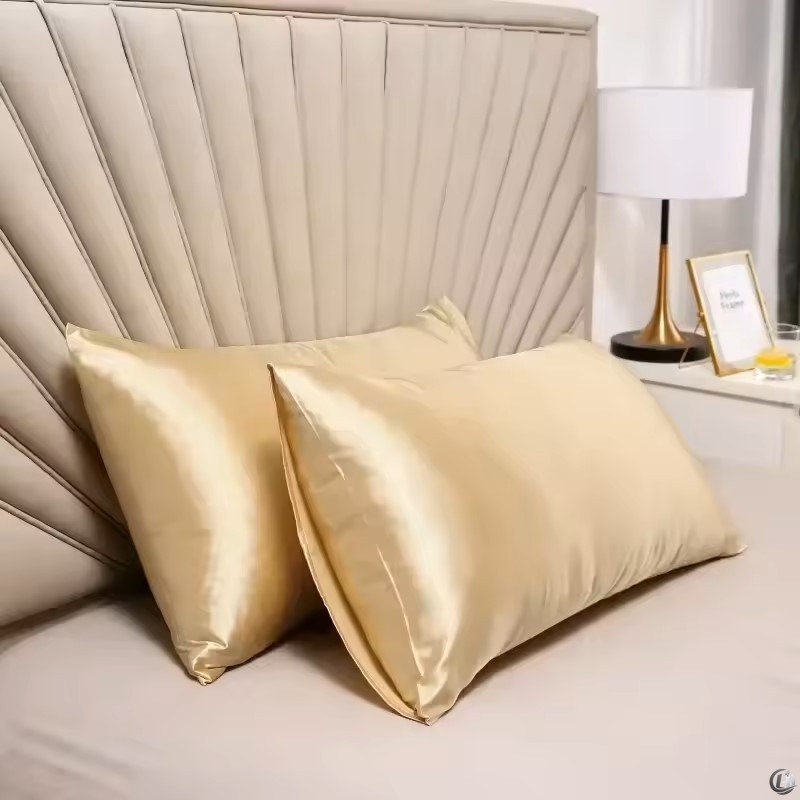 100% Natural Mulberry Silk Pil - Silk Pillowcase Set review and price